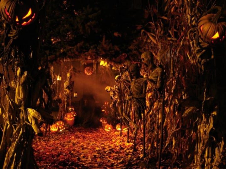 Diferencias entre Samhain y Hallowen Magia Angelica